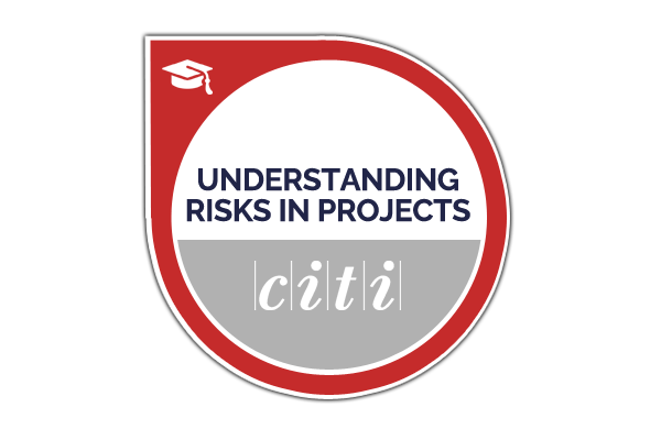 Understanding risks in project management
