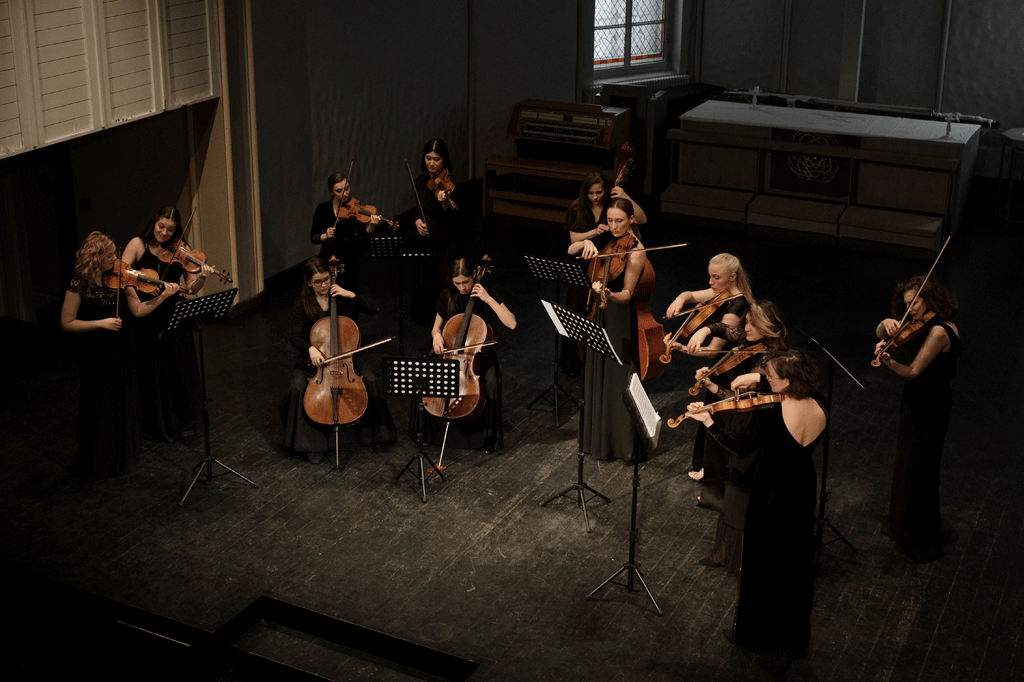 Orchestrating talent in organisations